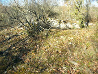 Dolmen du Communal et son tumulus