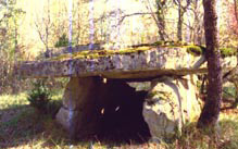 Dolmen Champ de Cluzel