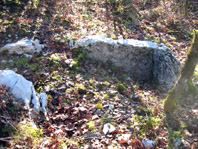 Dolmen La Pierre Levée