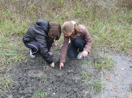 recherches fossiles