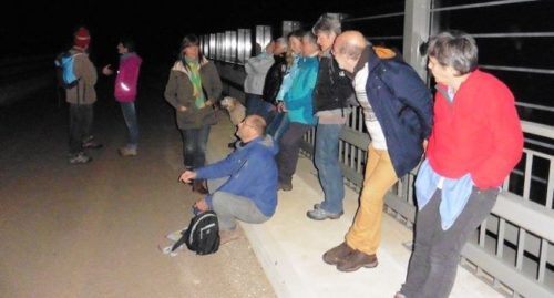 sous l'éclairage inutile du Grand Figeac